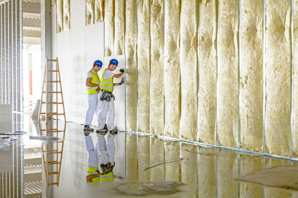 Best Cellulose Insulation in Dundas, MN